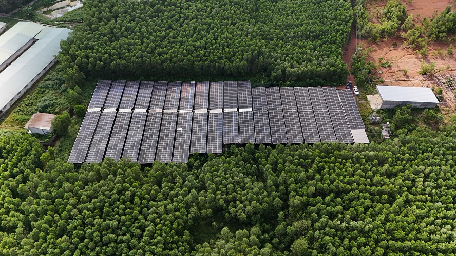 EMPower hoàn thiện công trình điện năng lượng mặt trời 990kWp tại trại nuôi Trùn Quế Vĩnh An